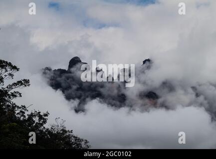 Tepui (montagne de table) Auyan dans le parc national de Canaima, Venezuela Banque D'Images