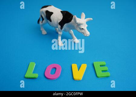 Amour de la vache et du mot écrit en lettres de couleur sur fond bleu, le concept d'animaux amoureux Banque D'Images