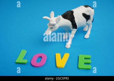 Amour de la vache et du mot écrit en lettres de couleur sur fond bleu, le concept d'animaux amoureux Banque D'Images