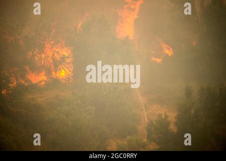 Afidnes, Grèce. 06e août 2021. Les pompiers tentent d'éteindre un incendie de forêt dans une zone boisée au nord d'Athènes. Depuis les premières heures du matin, de forts vents de l'ouest ont continué à alimenter les nombreux incendies de vendredi. Credit: Angelos Tzortzinis/dpa/Alay Live News Banque D'Images