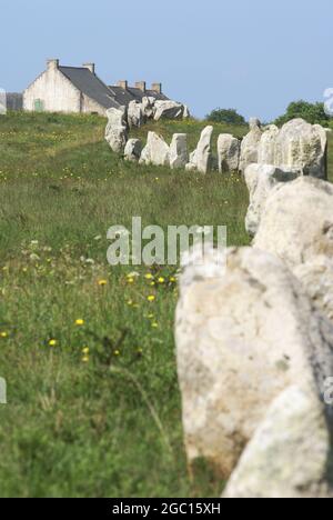 FRANCE. ALIGNEMENTS CARNAC Banque D'Images