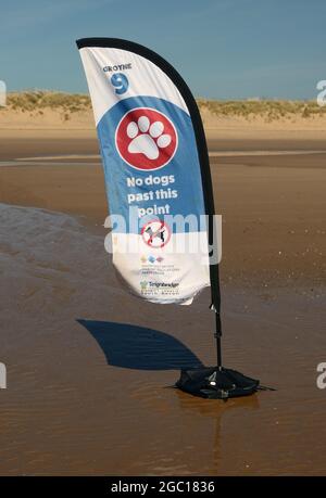 Un drapeau de plumes sur la plage de Dawlish Warren avertissant qu'aucun chien n'est autorisé au-delà de Groyne 9. Banque D'Images