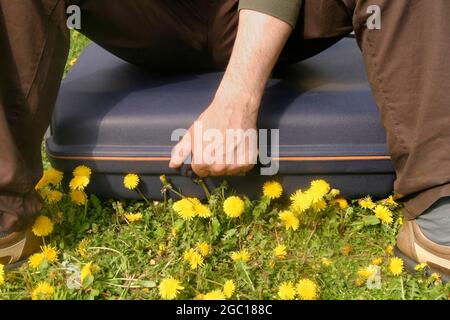 Pissenlit (Taraxacum spec.), homme assis sur un costume dans un pré de pissenlit Banque D'Images