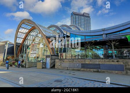 Winter Gardens, Sheffield, South Yorkshire, Angleterre, Royaume-Uni Banque D'Images