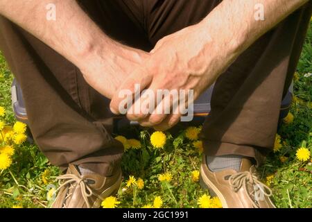 Pissenlit (Taraxacum spec.), homme assis sur un costume dans un pré de pissenlit Banque D'Images