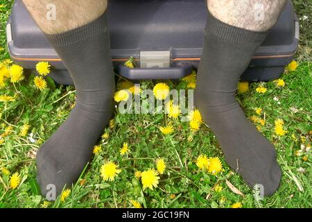 Pissenlit (Taraxacum spec.), homme assis dans des chaussettes sur un tailleur dans un pré pissenlit Banque D'Images