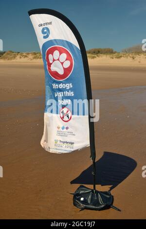 Un drapeau de plumes sur la plage de Dawlish Warren avertissant qu'aucun chien n'est autorisé au-delà de Groyne 9. Banque D'Images