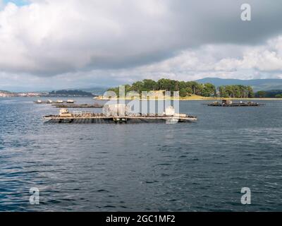 O GROVE, ESPAGNE - 24 JUILLET 2021 : plate-forme de ferme de moules, huîtres et pétoncles dans l'estuaire d'Arousa, près de O Grove, Pontevedra, Galice, Espagne Banque D'Images