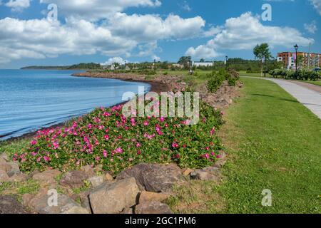 Une promenade longeant le front de mer de Summerside, Île-du-Prince-Édouard, Canada. Banque D'Images