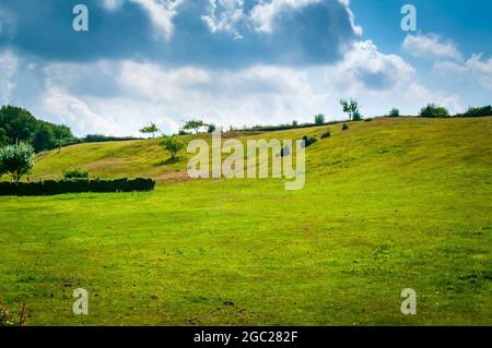 Crête avec une veine de charbon en dessous, près de Sicklebrook Farm en été avec un ciel bleu et des nuages, sur une colline à Coal Aston près de Sheffield. Banque D'Images