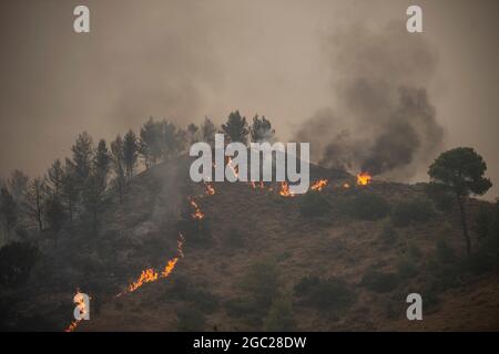 Afidnes, Grèce. 06e août 2021. La fumée s'élève d'un feu de forêt dans une zone boisée au nord d'Athènes. Depuis les premières heures du matin, de forts vents de l'ouest ont continué à alimenter les nombreux incendies de vendredi. Credit: Angelos Tzortzinis/dpa/Alay Live News Banque D'Images