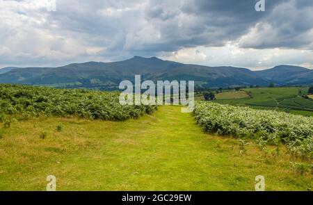 Vue depuis la colline de Rwyn y Gaer sur Mynydd Illtyd commune de Corn du et de Pen y Fan - dans le parc national de Brecon Beacons Banque D'Images