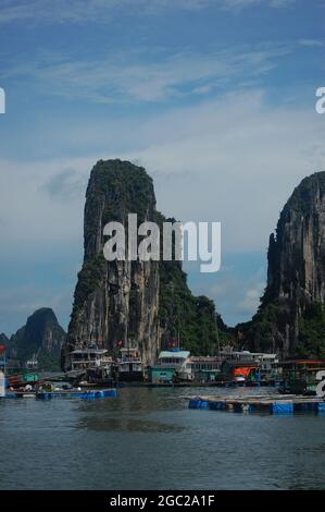 Les Vietnamiens et les voyageurs étrangers voyagent visite et croisière au village de pêche flottant dans Halong moyen dragon descendant ou Ha long Bay UNESC Banque D'Images