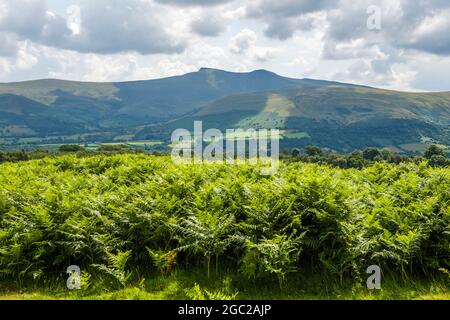 Vue sur les balises centrales de Brecon depuis Mynydd Illtud Powys Banque D'Images