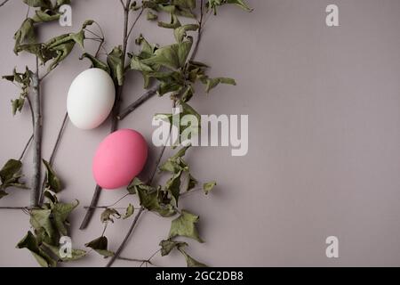 Œufs avec belle coquille d'œuf, couleurs rose et blanc avec brindilles d'érable séchées, feuilles plates sur fond de couleur gris crème neutre pastel. Banque D'Images