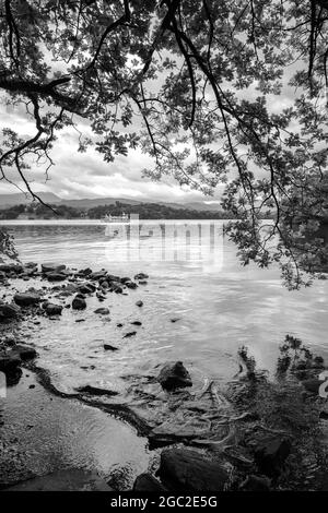 Miss Lake 1, bateau de croisière pour passagers sur le lac Windermere. Banque D'Images