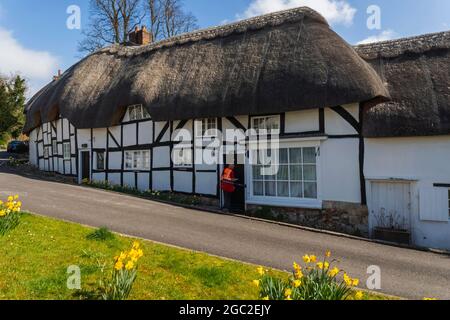 Angleterre, Hampshire, Test Valley, Wherwell, Tatched Cottages au printemps Banque D'Images