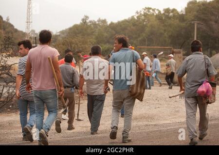 Mugla, Turquie. 06e août 2021. Des volontaires marchent le long d'une route après les feux de forêt dans le district de Milas à Mugla, Turquie, le jeudi 5 août 2021. (Photo par Ilker Eray/GochreImagery/Sipa USA) crédit: SIPA USA/Alay Live News Banque D'Images