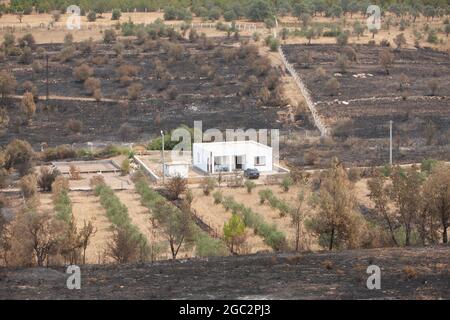 Mugla, Turquie. 06e août 2021. Une maison se trouve au milieu d'une zone brûlée après des feux de forêt dans le district de Milas à Mugla, Turquie, le jeudi 5 août 2021. (Photo par Ilker Eray/GochreImagery/Sipa USA) crédit: SIPA USA/Alay Live News Banque D'Images