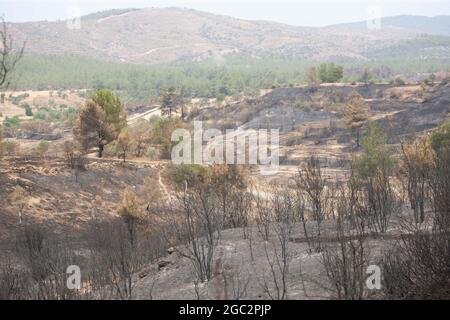 Mugla, Turquie. 06e août 2021. Une photo montre la destruction après les feux de forêt dans le district de Milas à Mugla, Turquie, le jeudi 5 août 2021. (Photo par Ilker Eray/GochreImagery/Sipa USA) crédit: SIPA USA/Alay Live News Banque D'Images