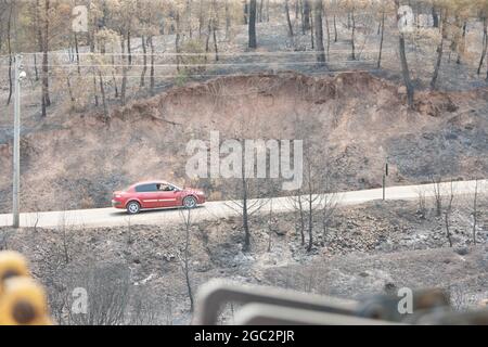 Mugla, Turquie. 06e août 2021. Une voiture passe devant une zone brûlée après des incendies de forêt dans le district de Milas à Mugla, Turquie, le jeudi 5 août 2021. (Photo par Ilker Eray/GochreImagery/Sipa USA) crédit: SIPA USA/Alay Live News Banque D'Images