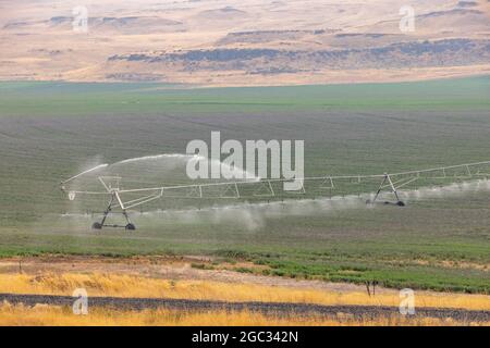 Irrigation à pivot central avec système de gicleurs de champ, région de Palouse, État de Washington, États-Unis Banque D'Images