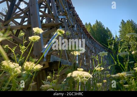 Pont Kinsol Trestle sur l'île de Vancouver. Le Trestle en bois historique de Kinsol au-dessus de la rivière Koksilah, près du lac Shawnigan, île de Vancouver, Canada. Banque D'Images