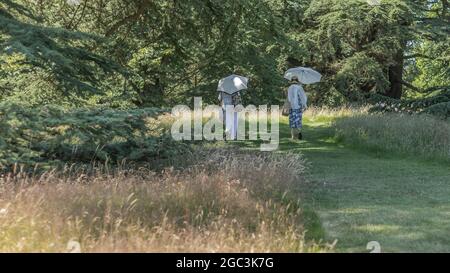 Deux femelles pour une promenade d'été Banque D'Images