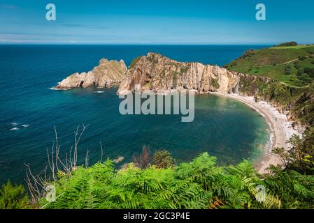 Mer de Cantabrie, plage et falaises de la côte nord de l'Espagne depuis le bord de la fougères Banque D'Images