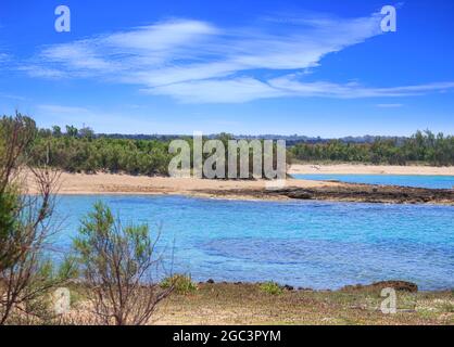 Réserve naturelle de Torre Guaceto à Apulia, Italie : vue sur la plage et les dunes. Maquis méditerranéen : un sanctuaire naturel entre la terre et la mer. Banque D'Images