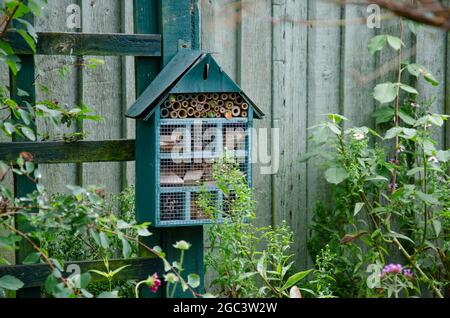 Un hôtel d'abeilles ou d'insectes attaché à un poteau dans un jardin pour fournir aux insectes un endroit sûr pour hiberner. Banque D'Images