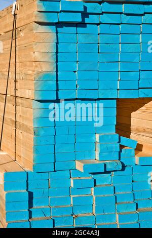 Le bois d'œuvre est entreposé sur le chantier de construction de la maison Banque D'Images