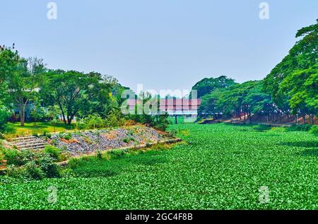 La nature luxuriante de Lamphun avec une vue sur la rivière Kuang, couverte de tapis de jacinthe d'eau et historique couvert Kua Mung Tha Sing shopping br Banque D'Images