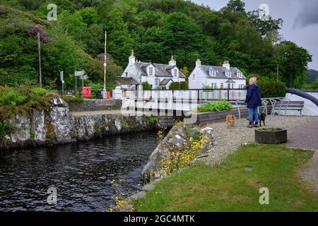 Depuis le sentier du canal de Crinan, une marchette et ses chiens admire le pont tournant du canal de Bellanoch Banque D'Images