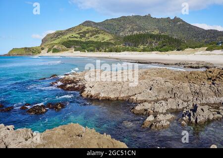 Ocean Beach, Whangarei Heads, Northland, Nouvelle-Zélande Banque D'Images