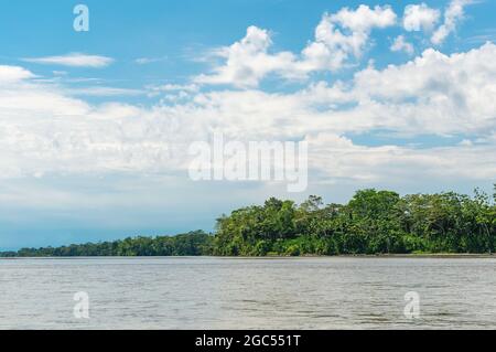 Rivière Napo et arbres de la forêt amazonienne près de la rive, parc national Yasuni, Équateur. Banque D'Images