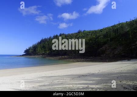 Oyster Bay, Brampton Island, Whitsunday Islands National Park, Queensland, Australie Banque D'Images