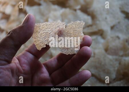 Tiendar de kerupuk brut (puli, kerupuk beras, Lempeng Puli) avec un fond naturel. Jendar de Kerupuk à base de riz usagé (craquelins de riz) Banque D'Images