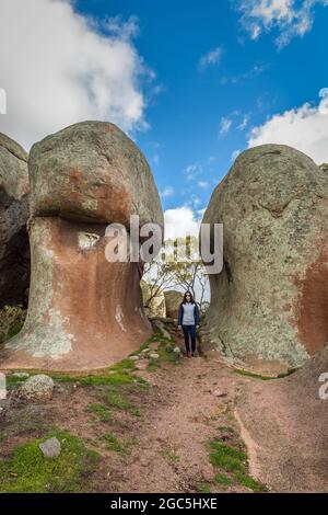 Les gigantesques blocs de granit rouge connus sous le nom de haystacks de Murphy sont une attraction touristique sur les terres agricoles près de Streaky Bay sur la péninsule d'Eyre en Australie méridionale. Banque D'Images