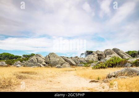 (Mise au point sélective) magnifique paysage avec un sentier menant à Cala Caprarese situé dans la belle île de Caprera dans l'archipel de Maddalena. Banque D'Images