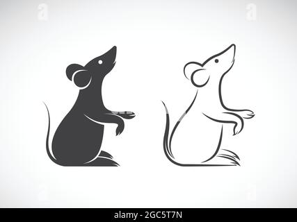 Image vectorielle d'un dessin de rat sur fond blanc. Illustration vectorielle superposée facile à modifier. Animaux sauvages. Illustration de Vecteur