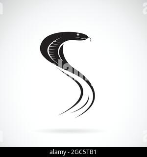 Vecteur de motif serpent sur fond blanc. Animaux sauvages. Logo ou icône serpent. Illustration vectorielle superposée facile à modifier. Illustration de Vecteur