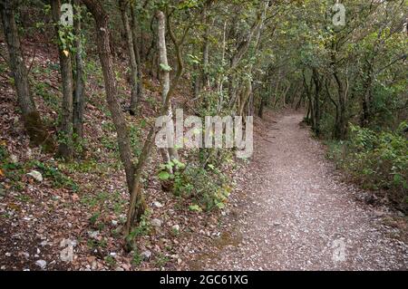 Sentier dans le parc régional de Conero, Marche, Italie Banque D'Images