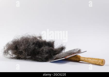 Brosse pour animaux et poils de chien noirs sur fond blanc. Peigne spécial pour enlever les poils morts d'animaux avec une poignée en bois. Bouquet de poils d'animaux de compagnie. Côté v Banque D'Images