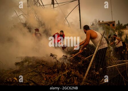 Afidnes, Grèce. 06e août 2021. Les volontaires essaient de mettre un feu de forêt dans une zone boisée au nord d'Athènes. Credit: Angelos Tzortzinis/dpa/Alay Live News Banque D'Images