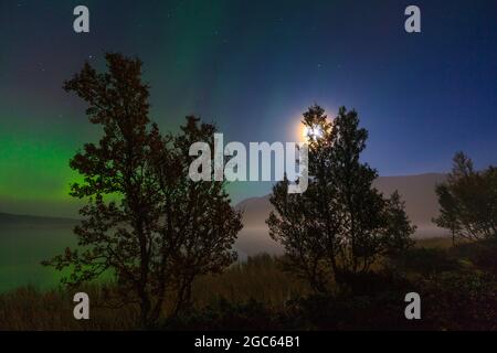 Aurora borealis et la lune sur le paysage nocturne brumeux à la réserve naturelle de Fokstumyra, Dovre, Norvège, Scandinavie. Banque D'Images