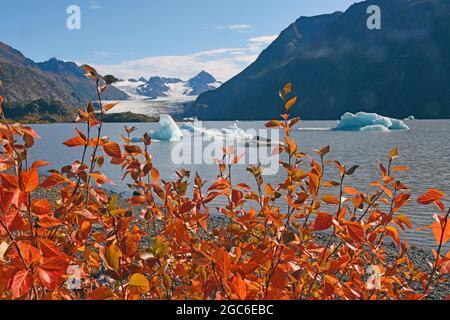 Lac Glacier, baie de Kachemak, Alaska Banque D'Images