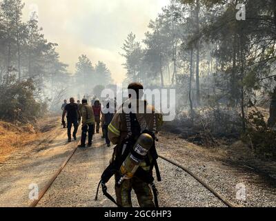 Milas, Turquie. 07e août 2021. Les équipes de l'IMM (municipalité métropolitaine d'Istanbul) qui travaillent aux feux de forêt qui ont commencé dans le district de Manavgat d'Antalya et autour des districts de Marmaris et Bodrum de Mugla, se poursuit le sixième jour. L'équipe de İBB travaille dans la région dans des conditions difficiles avec 273 personnes, 44 véhicules et du matériel. Une équipe de 8 personnes, dont 6 vétérinaires, se trouve dans la région pour sauver nos chers amis et soigner les blessés. L'équipe de Mugla Bodrum de l'IMM est également intervenue dans les incendies autour de la centrale thermique Kemerkoy hier et le travail se poursuit Banque D'Images