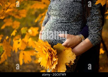 Un couple méconnaissable, une femme enceinte et son mari embrassant le ventre sur la nature, debout dans la forêt parmi les feuilles d'automne, chute. Nouveau concept de vie. Banque D'Images