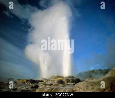 Nouvelle-Zélande. Île du Nord. Rotorua. Whakarewarewa Pohutu Geyser. Banque D'Images